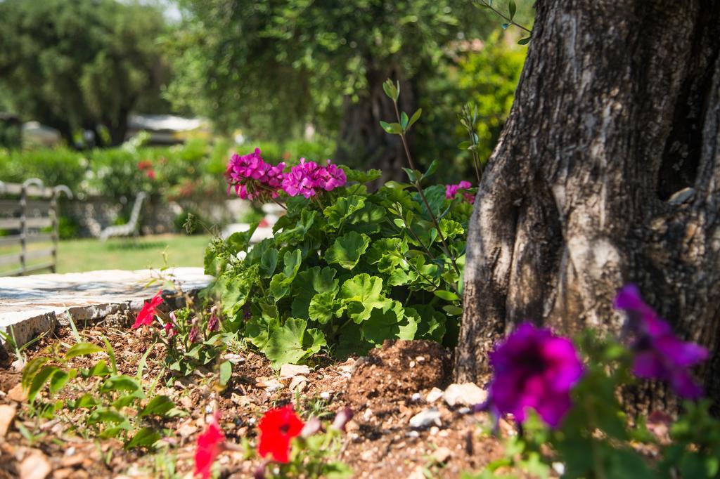 Krouzeri Beach Apartments Nisaki  Phòng bức ảnh